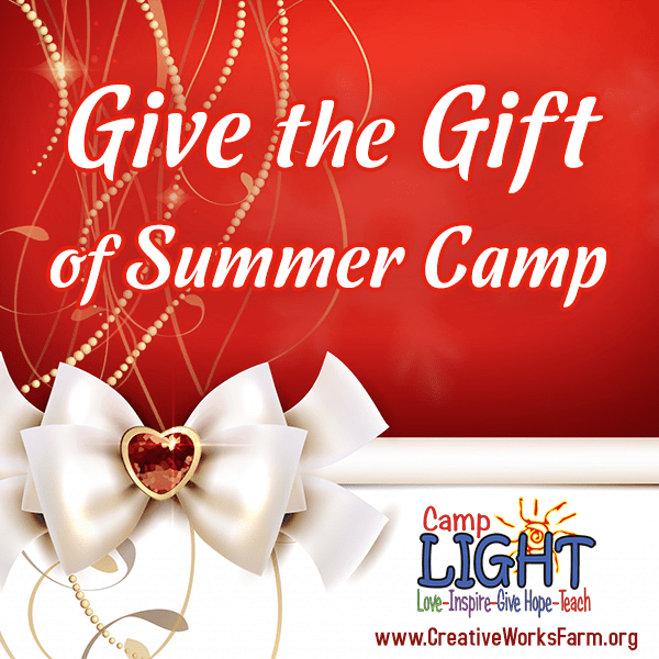 You are currently viewing Give the Gift of Summer Camp