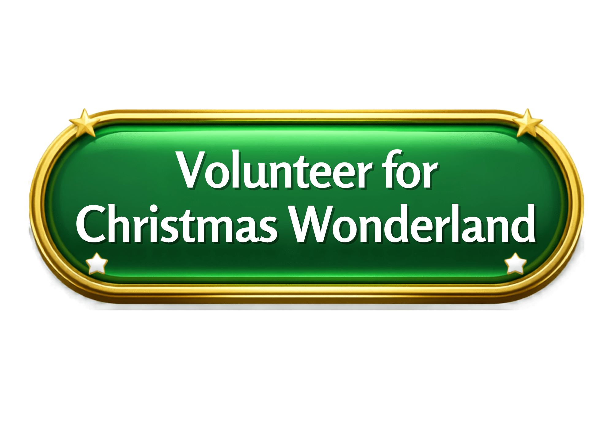 Christmas Wonderland volunteer (5)