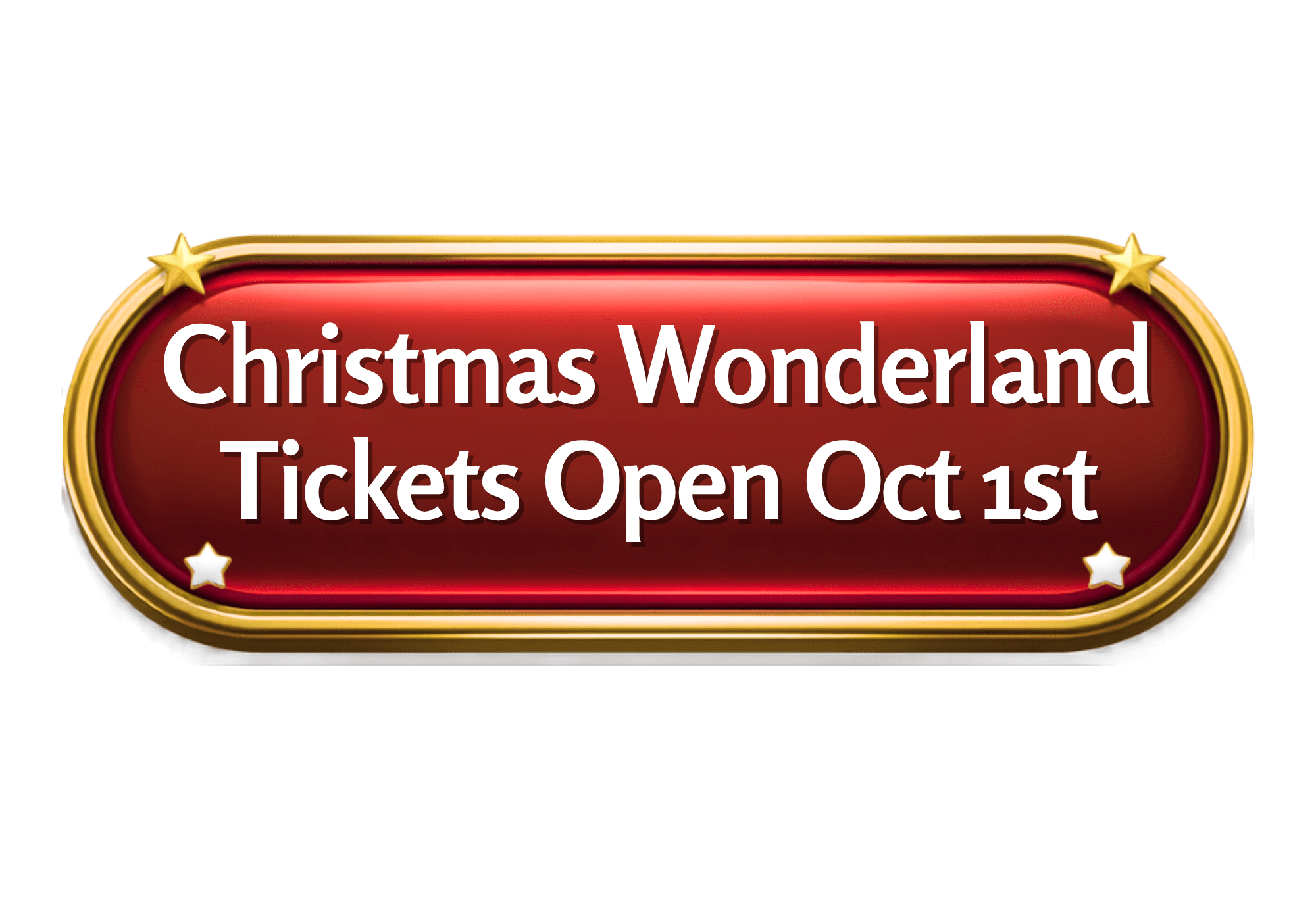 Christmas Wonderland tickets (6)